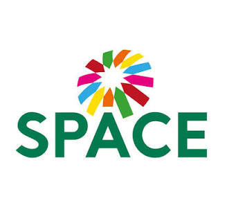 Logo SPACE